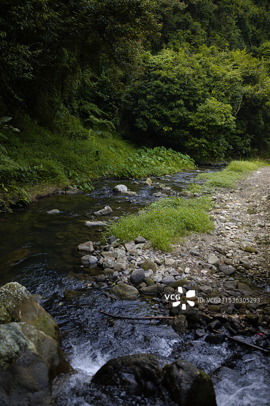 皂幕山 竹林 佛山最高峰图片素材
