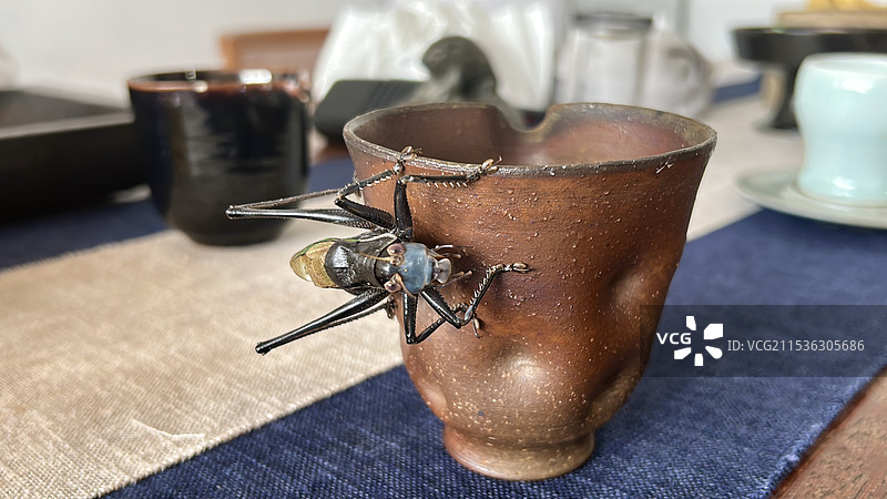 茶杯上的蝈蝈图片素材