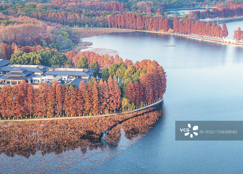 初冬季节航拍东湖风景图片素材