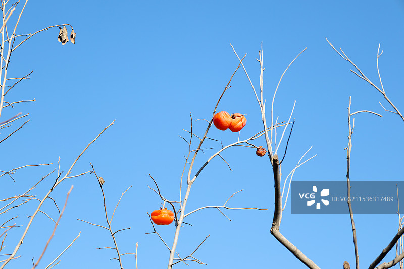 黄崖口关图片素材