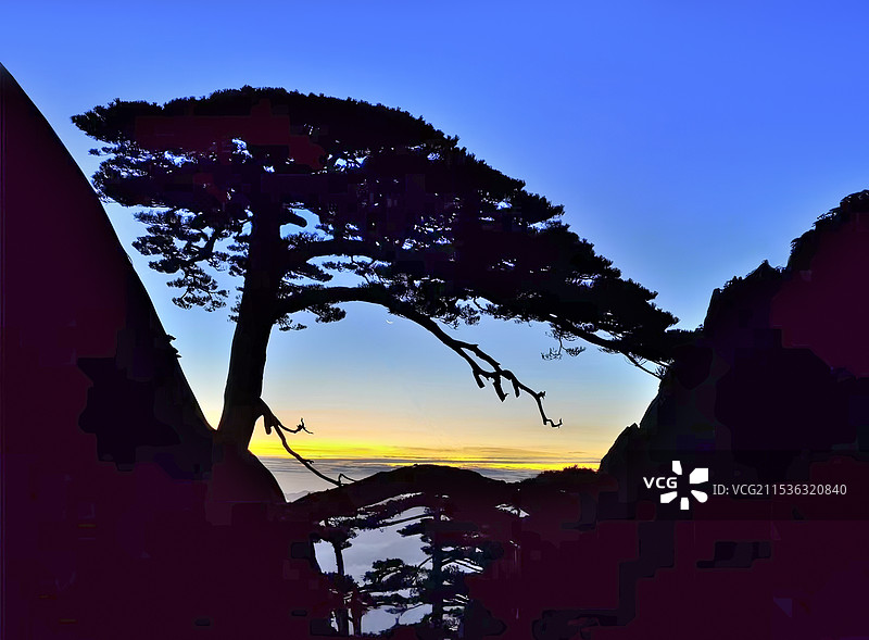 晨曦中安徽黄山玉屏景区内的著名景点迎客松图片素材