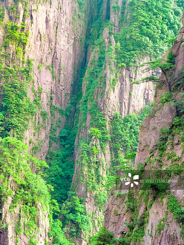 安徽黄山西海大峡谷内的峡谷崖壁青松图片素材