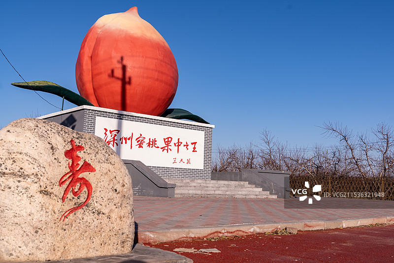 衡水深州蜜桃观光园图片素材