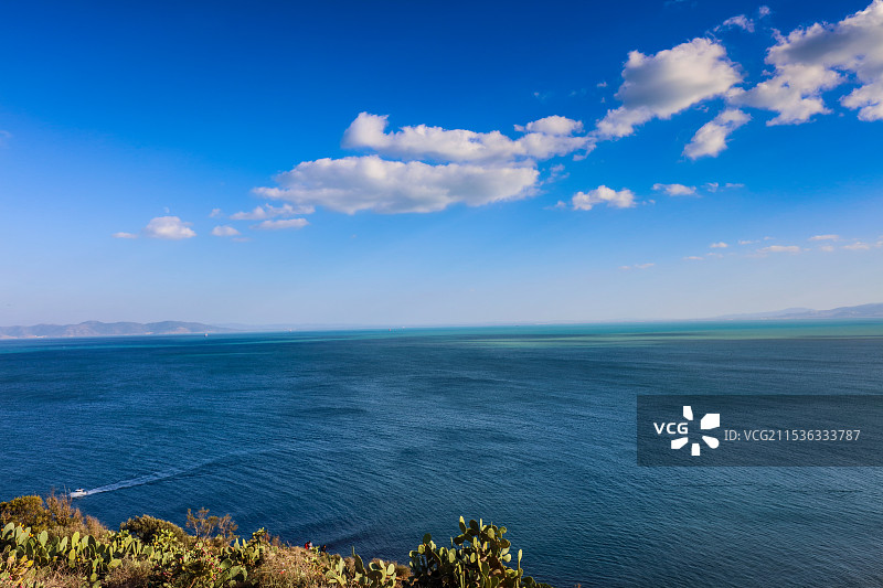 地中海旁的仙人掌图片素材