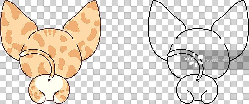 多色孤立的阿比西尼亚猫剪贴画图片素材