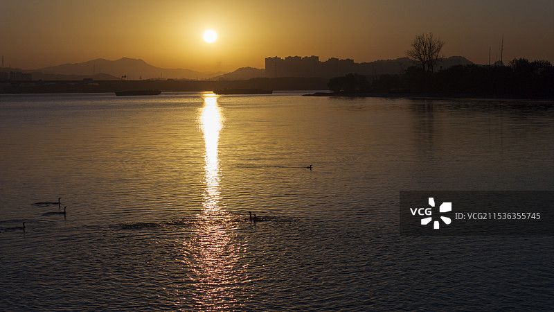 杭州西湖区钱塘江双浦五丰岛清晨风光图片素材