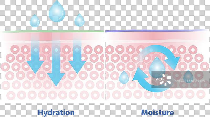 水分和湿度的比较图片素材