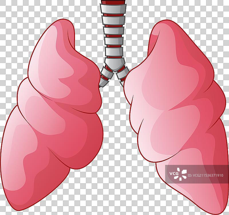 人类肺部呼吸卡通图图片素材