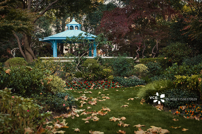 秋季清晨上海徐汇区高安花园图片素材