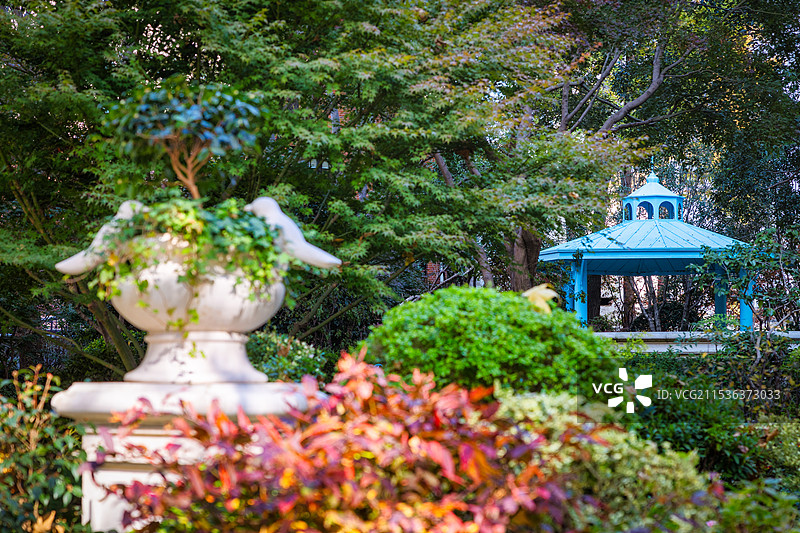 秋季清晨上海徐汇区高安花园图片素材