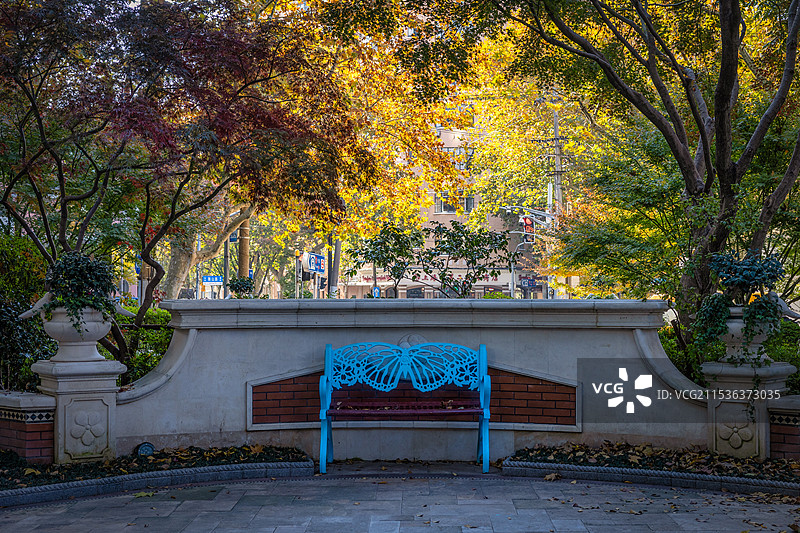 秋季清晨上海徐汇区高安花园图片素材