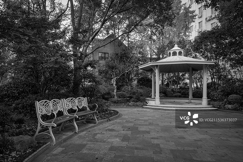 秋季清晨上海徐汇区高安花园图片素材