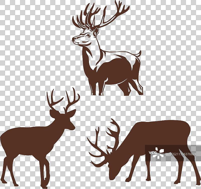 一组可爱的有角平面小鹿图片素材