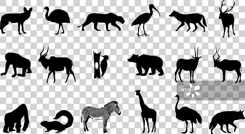动物轮廓的集合图片素材