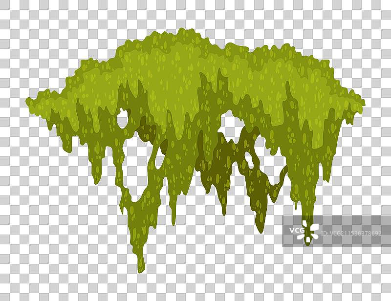 卡通丛林苔藓形状的绿色沼泽苔藓图片素材