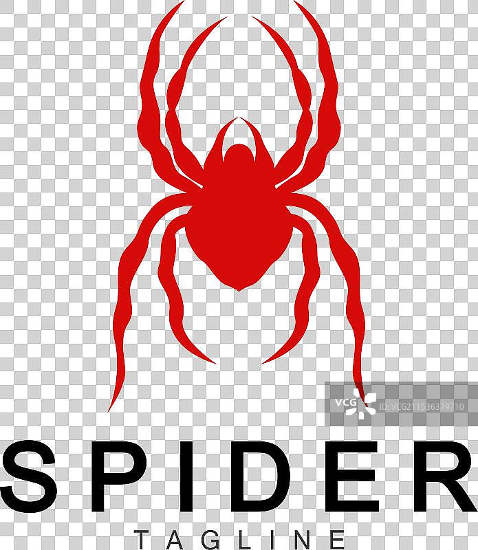 蜘蛛标志 昆虫 动物 极简设计图片素材