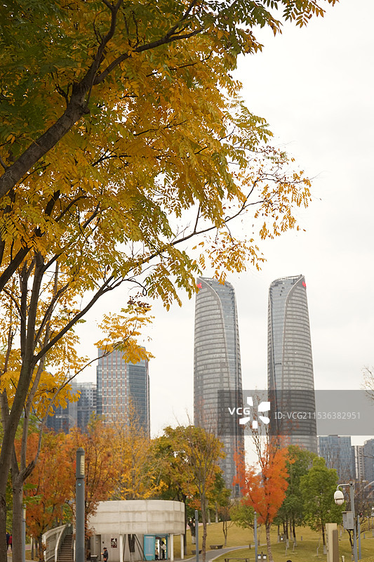 景色成都金融城双子塔秋景图片素材