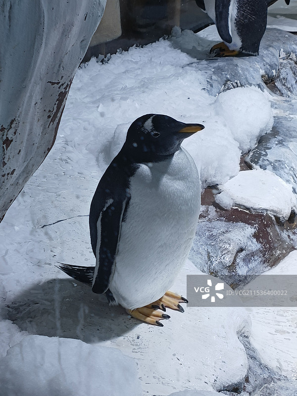 感觉至上图片素材