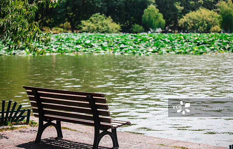 浙江省杭州市西湖十景之一曲院风荷图片素材