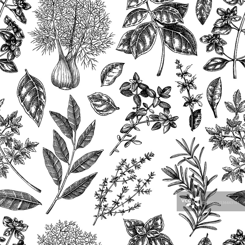 意大利菜肴的草药和香料无缝图案图片素材