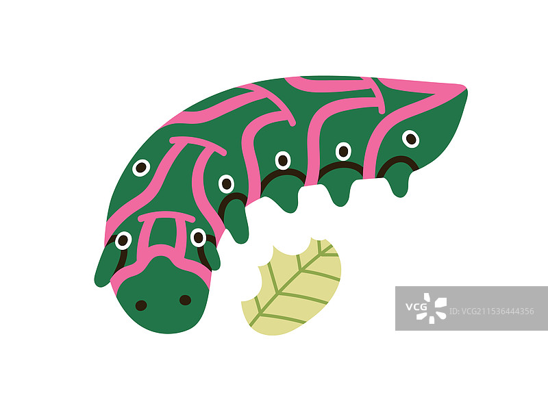 可爱的彩色毛虫在吃叶子食物图片素材