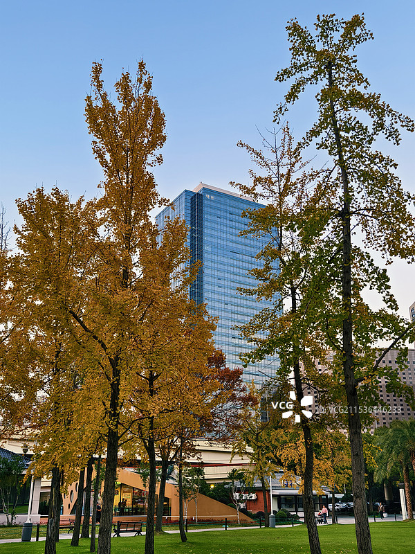 公园风景图片素材