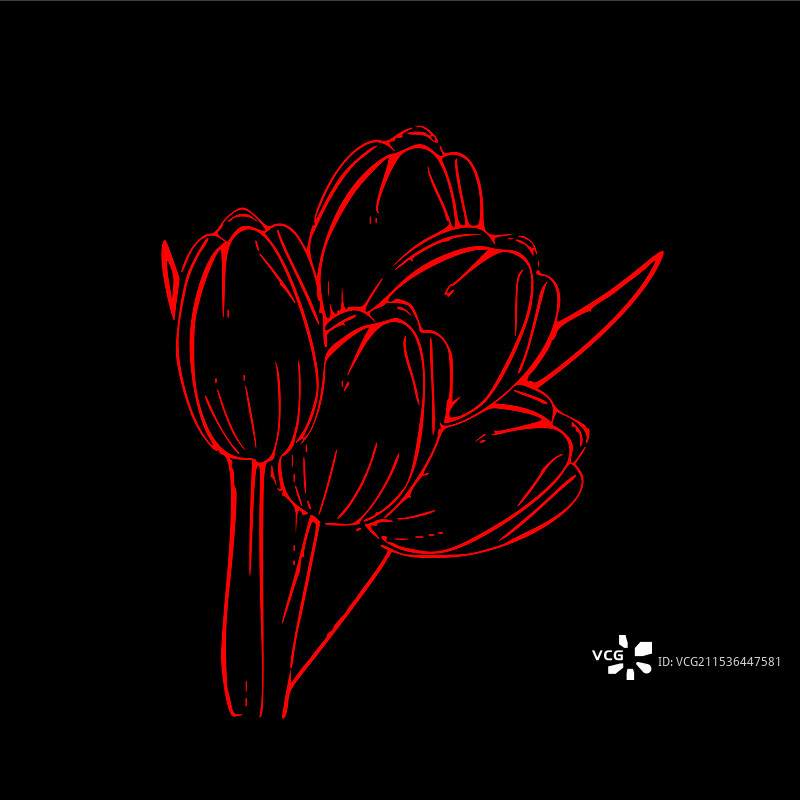 黑色背景上的手绘红花图片素材