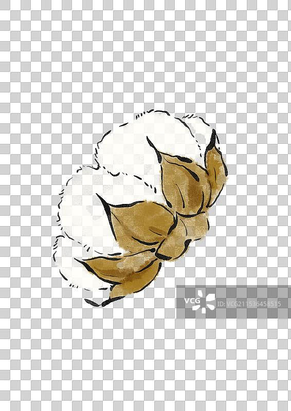 国潮风农作物插画-棉花图片素材