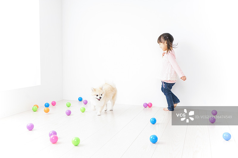 孩子在和狗玩耍图片素材