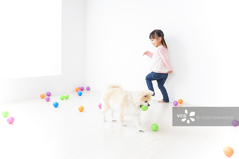 孩子在和狗玩耍图片素材