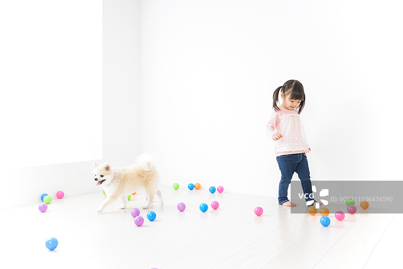 孩子在和狗玩耍图片素材