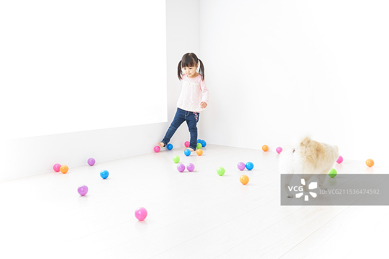 孩子在和狗玩耍图片素材