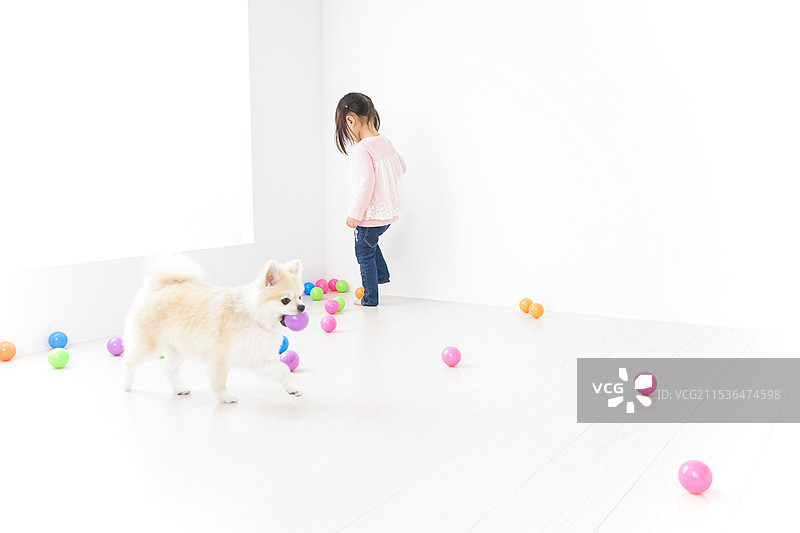 孩子在和狗玩耍图片素材