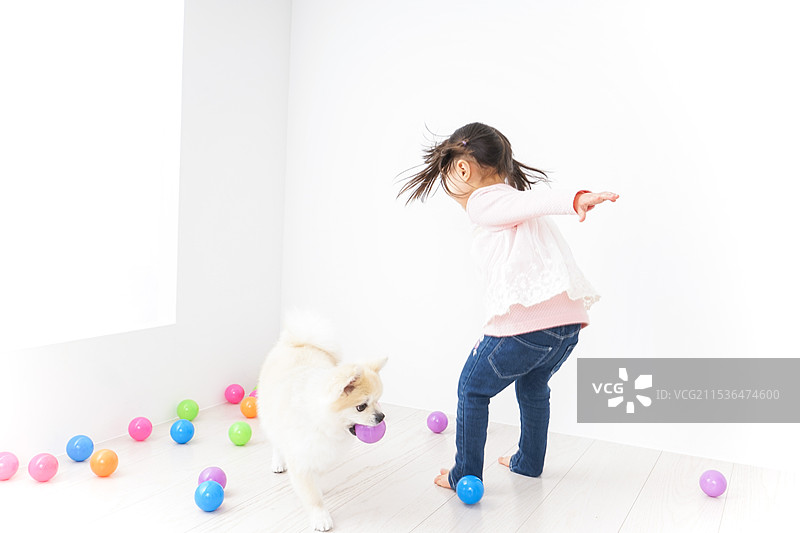 孩子在和狗玩耍图片素材