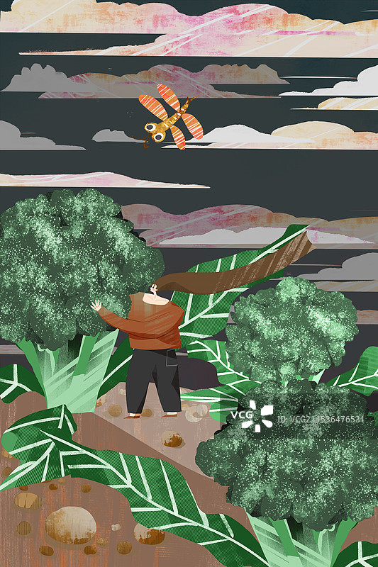 西兰花插画图片素材