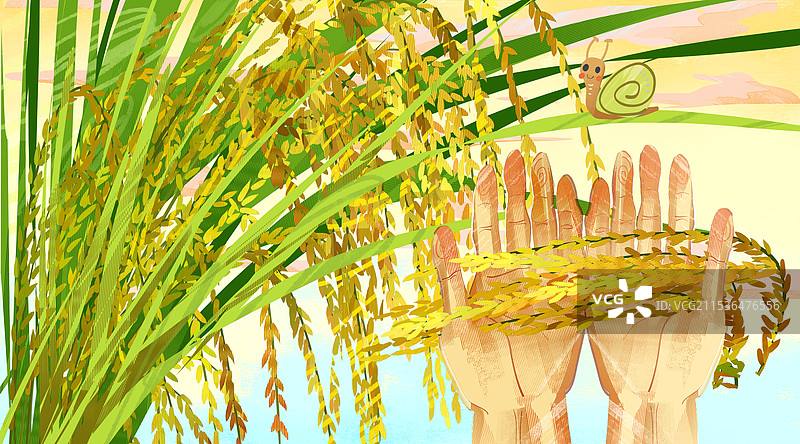 农作物稻谷插画图片素材