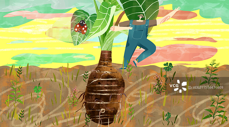 荔浦芋头插画图片素材