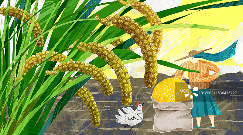 农作物小米插画图片素材