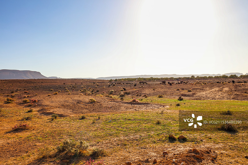 突尼斯Chenini村落图片素材