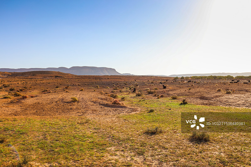 突尼斯Chenini村落图片素材
