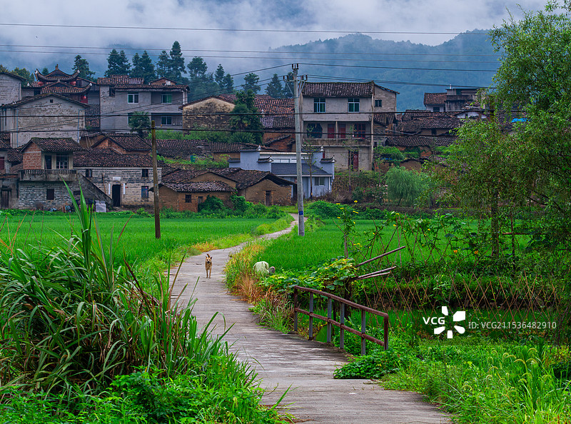和平古镇之晨图片素材