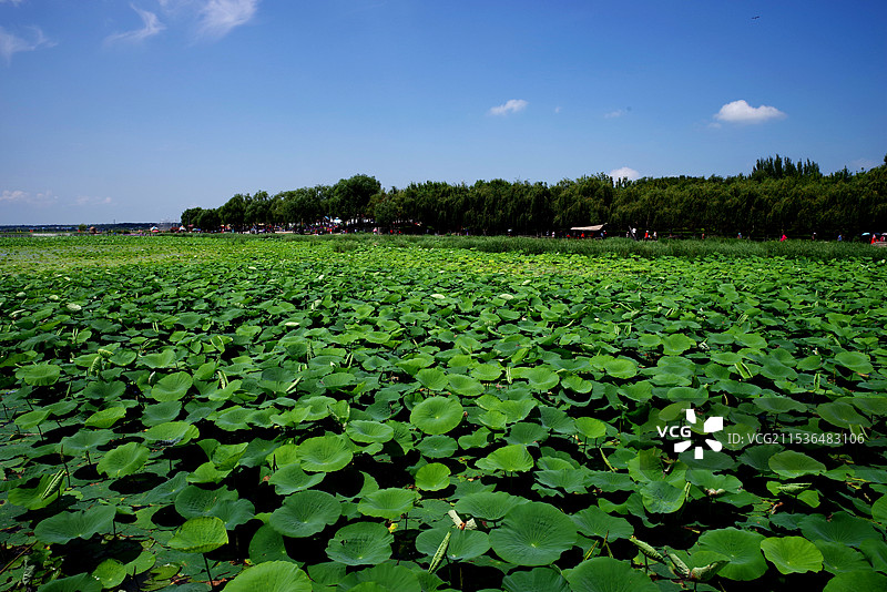 吉林查干湖风光图片素材
