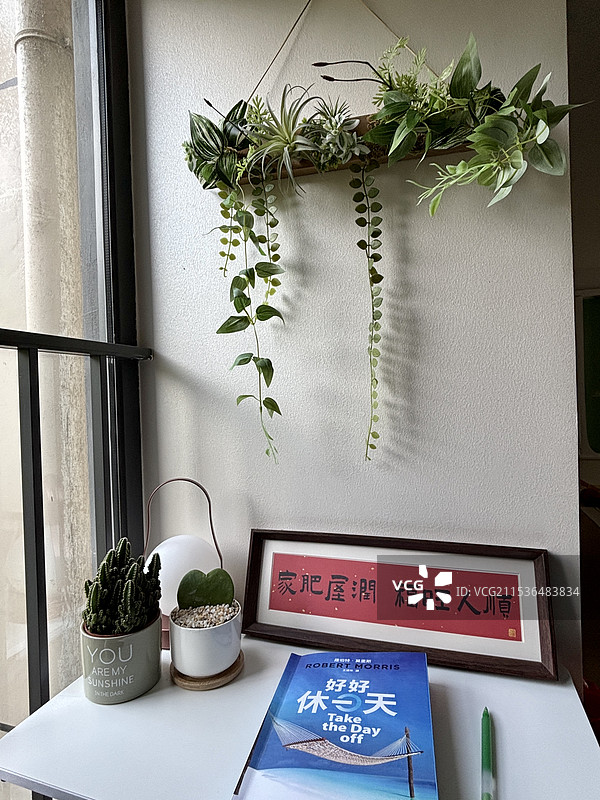 绿植图书角，享受片刻闲暇时光图片素材