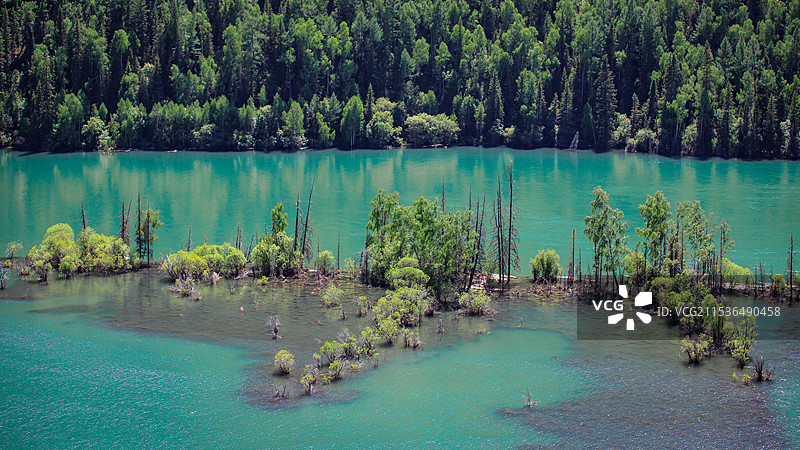 喀纳斯河图片素材
