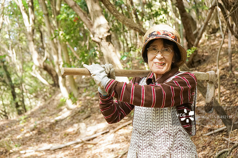 老年女性在采摘竹笋图片素材