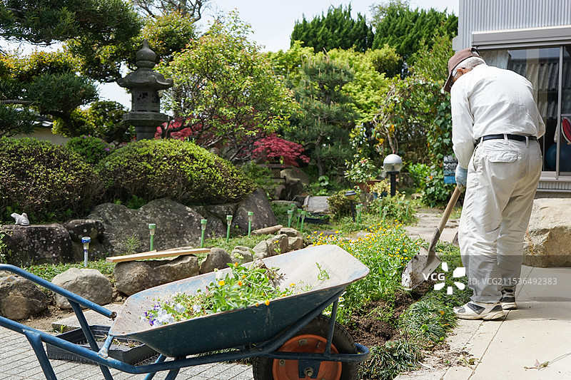 老年人在园艺中劳作图片素材