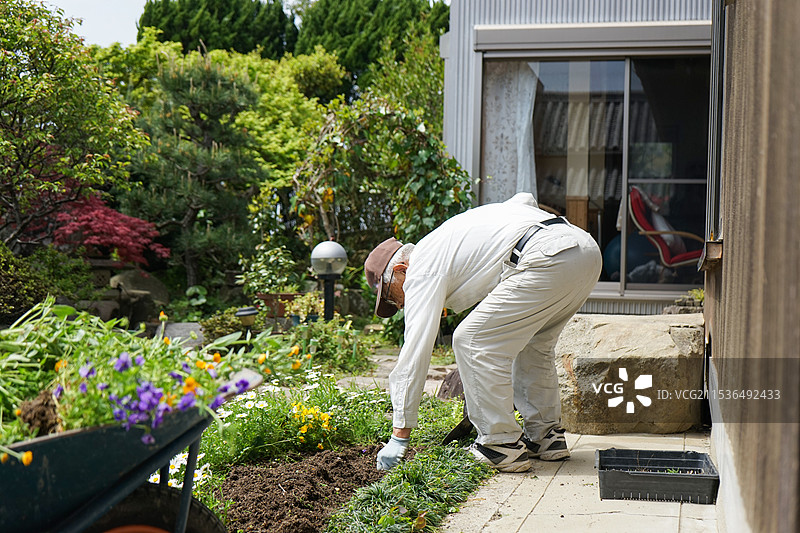 老年人在园艺中劳作图片素材