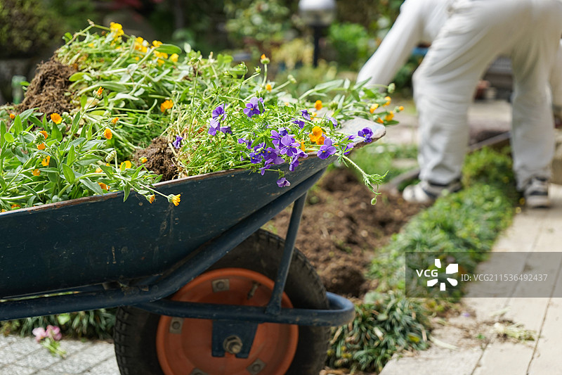 老年人在园艺中劳作图片素材