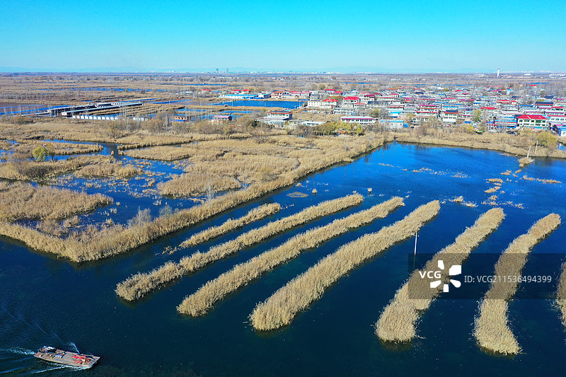 华北明珠白洋淀，碧水蓝天如画卷邵庄子图片素材