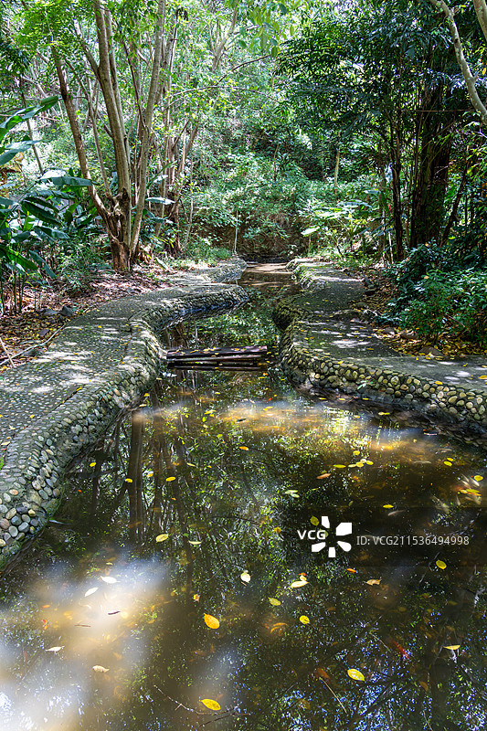 林间溪流的倒影图片素材